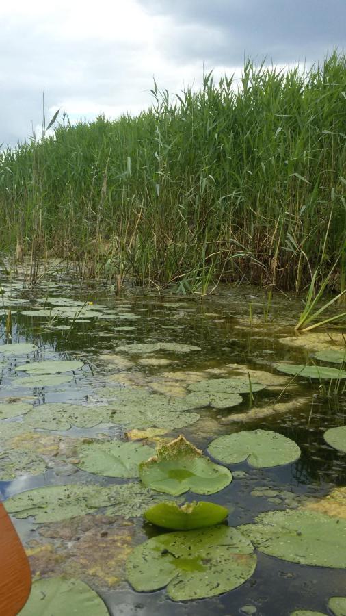 Kwatera Na Bagnach Osowiec  エクステリア 写真